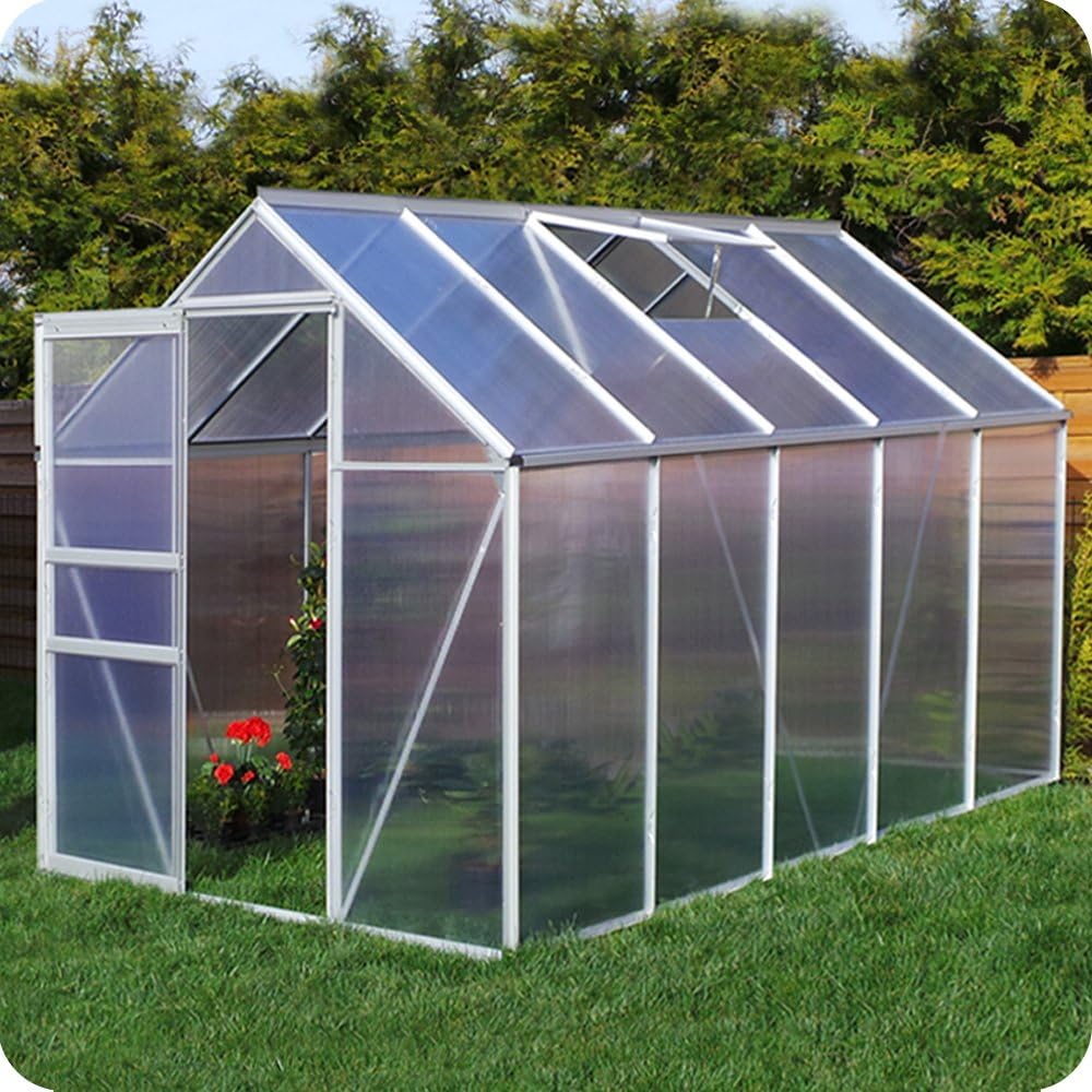 Aluminium Gewächshaus 250x310 cm, 6mm Verglasung, 7,75 m² mit Fundament, Silber, Garten Pflanzenhaus 11,58m³ Alu Treibhaus Tomatenhaus